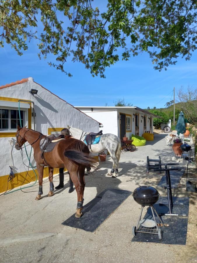 Casinha De Campo- Quintinha Dos Cavalos- Аруда дос Виньос Екстериор снимка