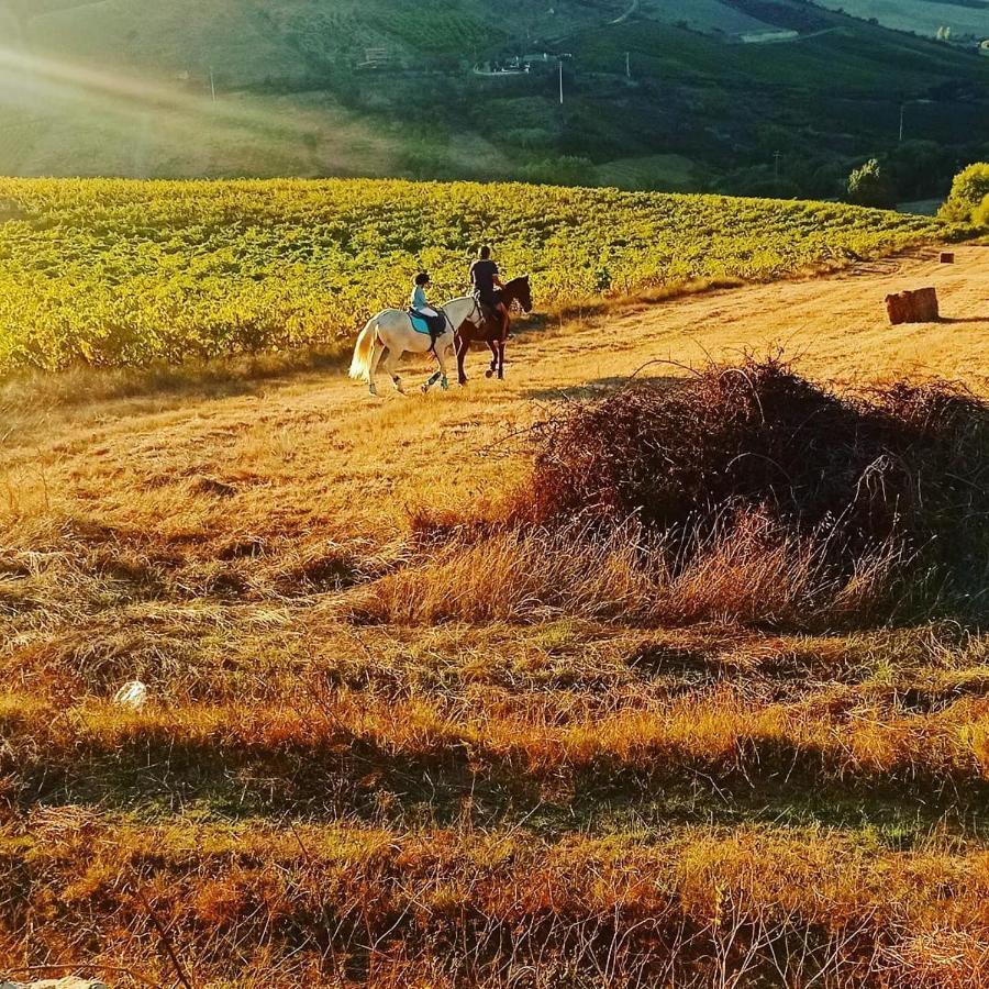 Casinha De Campo- Quintinha Dos Cavalos- Аруда дос Виньос Екстериор снимка